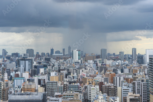 Принти на полотні sudden shower in Tokyo