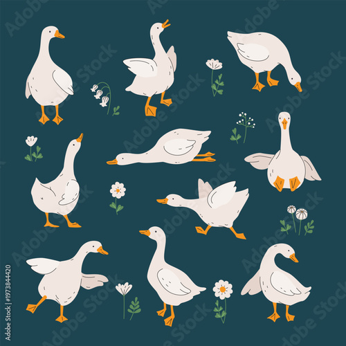 Silly goose and white daisy flowers
