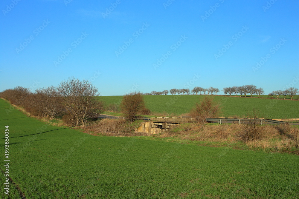 Fototapeta premium A field with a fence and trees