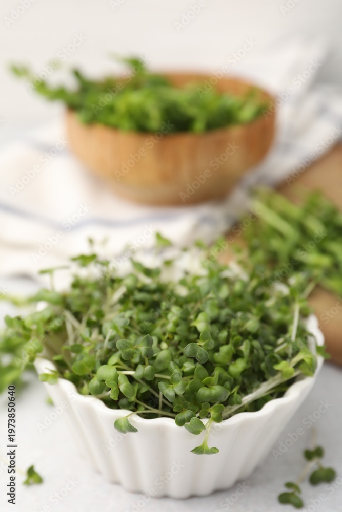 Fototapeta premium Fresh microgreens in bowl on white table, closeup