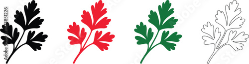 Colorful parsley leaf illustration, herb foliage icon set in silhouette and outline vector style