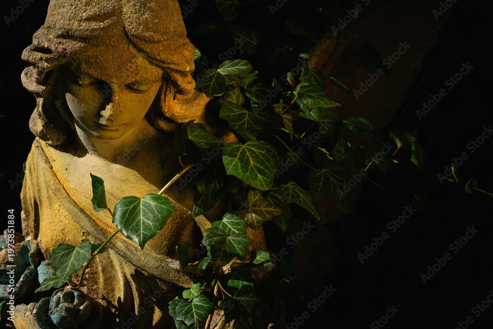 Fototapeta premium Angel statue covered with ivy in dramatic light, symbol of decay, time, nature and forgotten memory.