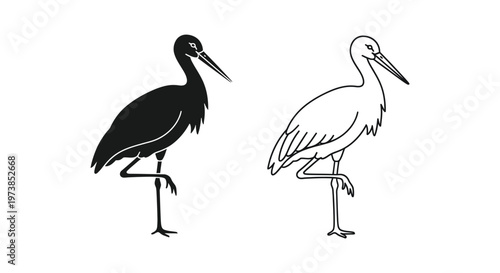 Black and White Wading Birds: Ibis vs Heron Vector