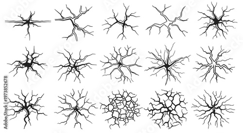 Collection of neuron and neural network structures.