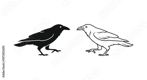 BlackAndWhiteCrowIllustrationsForArtDesign Vector