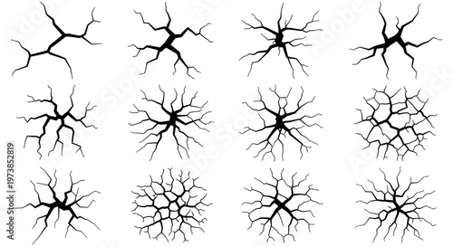Neuron cell connections and networks.