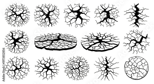 Collection of neuron cell illustrations.