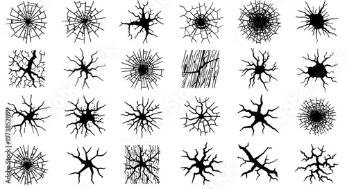 Collection of various black neuron and neural network illustrations.