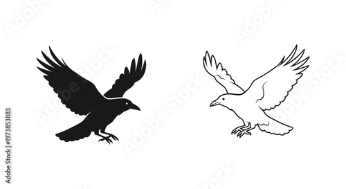Elegant Flying Raven & Crow Silhouette Vector Art Vector