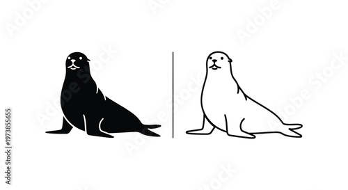 Sea Lion vs Sealion: Marine Mammal Comparison Guide Vector