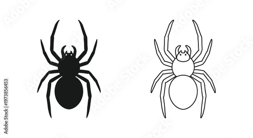 Fotografia Black and White Spider Comparison Guide Vector