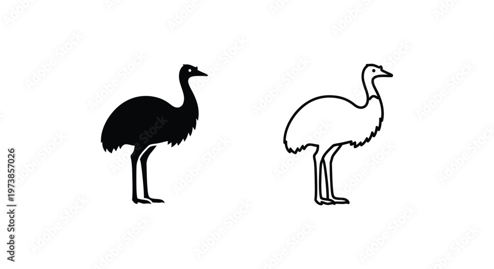 Fototapeta premium Emus Silhouette: Male vs Female Bird Identification Guide Vector
