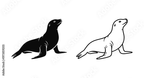 Sea Lion vs Sealion Illustration Guide Vector