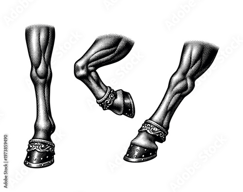 Carousel horse leg with carved musculature and decorative hoof detailing, shown as a single realistic carousel horse leg presented in three views including