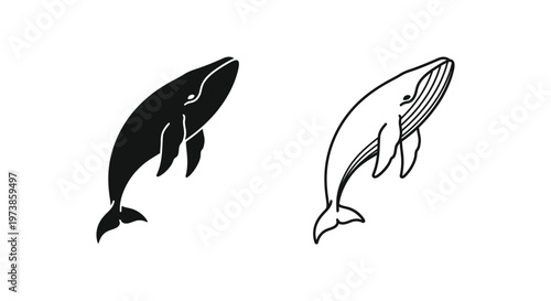 Whale Illustration Designs: Stunning Art Prints for Home Decor Vector