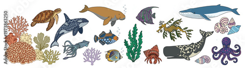 Comprehensive hand-drawn marine life collection featuring various ocean animals like whales, turtles, fish, octopus, and vibrant corals, isolated on white for educational or design use