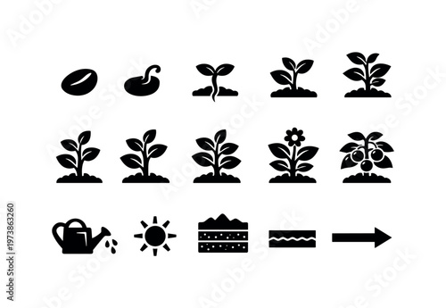 Plant Growth Stages. Solid icon set of Plant Growth Stages: seed, germination sprout, seedling, young plant, growing plant, mature plant, flowering plant,