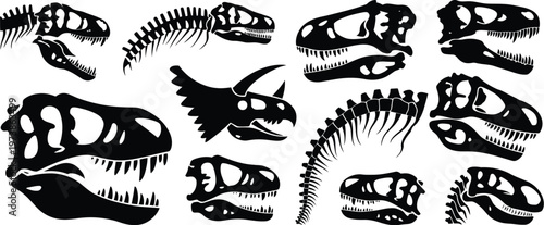 Clean vector illustration of diverse dinosaur skeletons and skulls, perfect for educational resources, prehistoric themes, and natural history designs, showcasing fossil anatomy