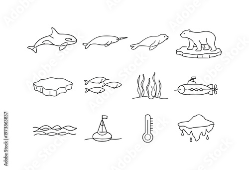 Arctic Marine Ecosystem. Minimalistic set one-line drawing orca whale outline, narwhal with tusk, swimming seal, polar bear on ice, drifting ice