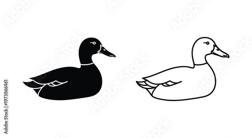 Duck Silhouette Illustrations: Male vs Female Guide Vector