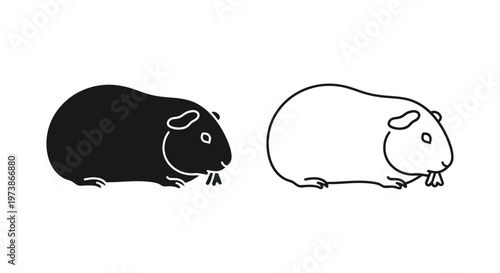 Guinea Pig Breeds: Black vs White Pet Comparison Vector