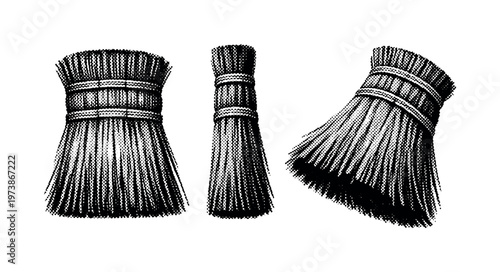 Broom straw head A realistic traditional straw broom head with tightly bound bristles shown in three views: front view, side thickness view, and angled