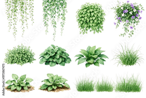 A collection of watercolor various decorative green plants including hanging vines and small potted bushes isolated on transparent background