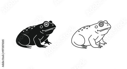 Black and White Toad Frog Illustration Guide Vector