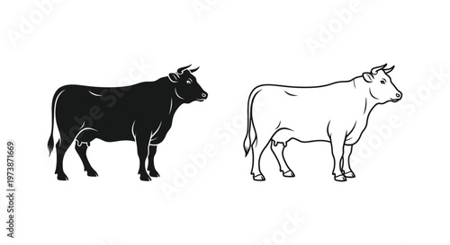 Bull vs Cow: Key Differences Explained Vector