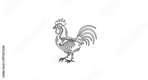 Chicken Skeleton Line Art Illustration