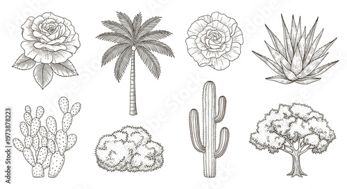 Collection of hand-drawn botanical illustrations featuring diverse plant species in vintage style