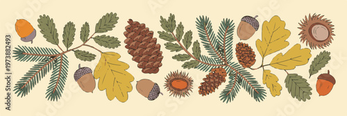 Autumn forest horizontal banner with colorful oak leaves acorns pine cones and evergreen needles on warm yellowish background.