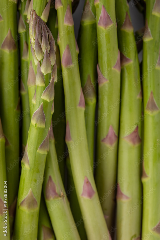 Fototapeta premium Close-up of fresh asparagus spears showing vibrant green color and natural texture. Healthy vegetable background for cooking, nutrition, and organic food concepts..