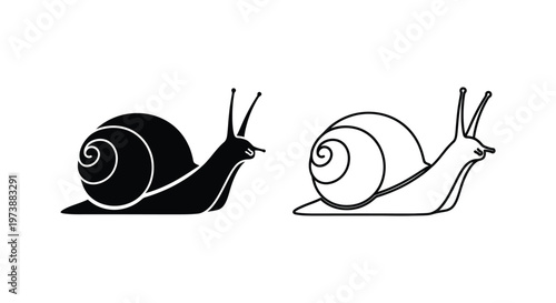 Snail Shell Art: Minimalist Black & White Designs Vector