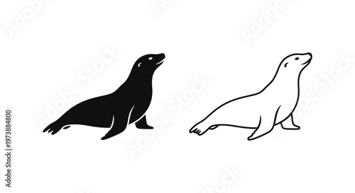 Sea Lions vs Seals: Marine Mammal Comparison Guide Vector