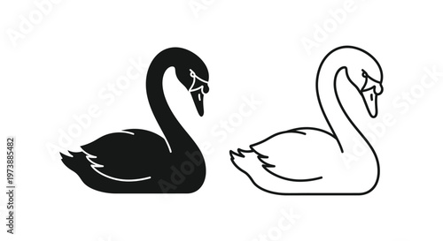 Black and White Swan Pair Graceful Elegance Vector Design Vector