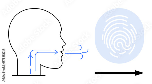 Biometric verification, identity authentication, security solutions, breath recognition, fingerprint scanning, future tech. Line art of face with breath flow and fingerprint. Biometric verification