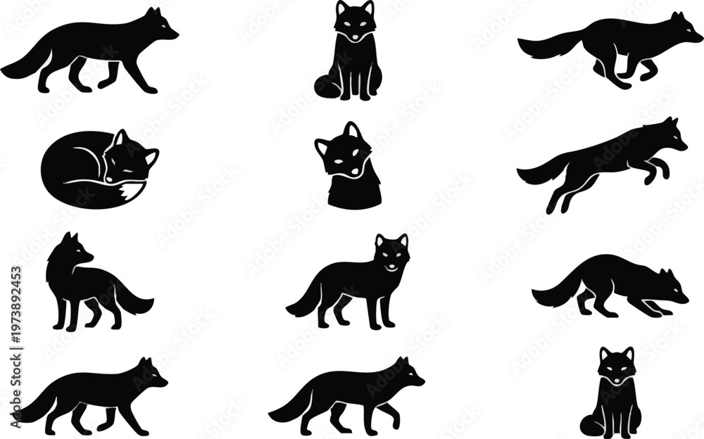 Fototapeta premium Twelve Black Fox Silhouettes in Various Poses on White.