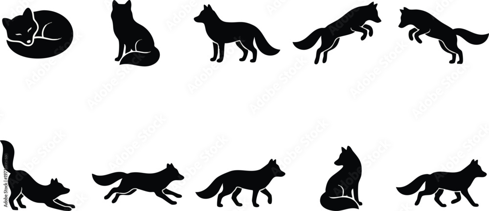 Fototapeta premium Ten Black Fox Silhouettes in Various Poses on a White Background.