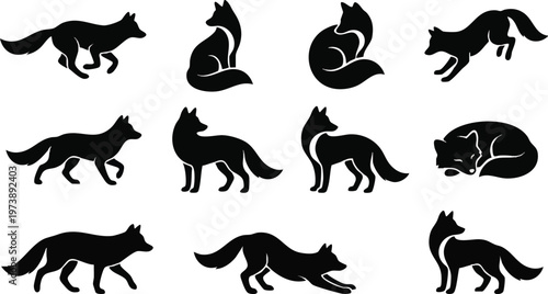 Eleven Black Fox Icons in Different Poses Arranged in Three Rows.