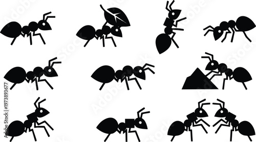 Set of Ten Stylized Black Ant Icons and Silhouettes.