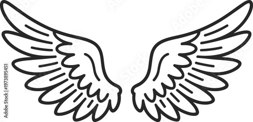 Outline Drawing Of Angel Wings bird feather