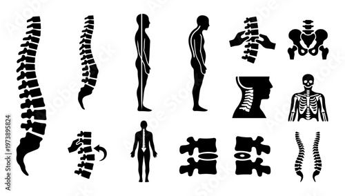 Spine and Posture Silhouette Icons – Human Spine, Back Pain, Alignment and Chiropractic Symbols