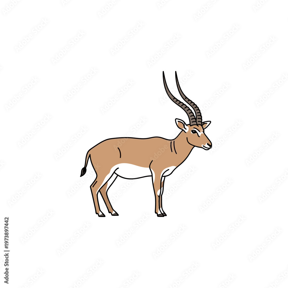 Fototapeta premium Simple line art illustration of a graceful gazelle with long, elegant horns standing on a white background
