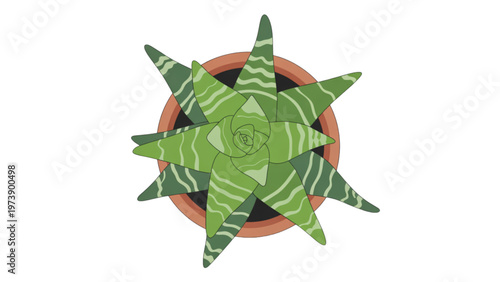 A woman and a man enjoying drinks in a relaxed outdoor setting isolated on transparent background