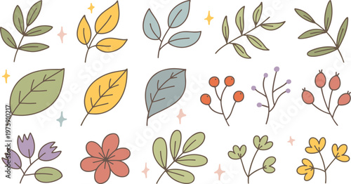 Autumnal and Floral Hand Drawn Elements vector 