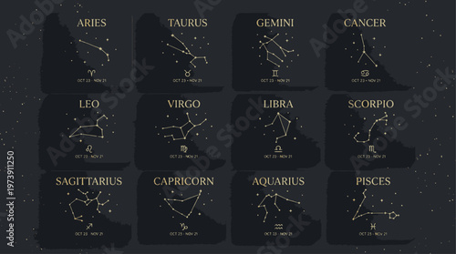 A flat lay of twelve zodiac signs with gold constellation illustrations on black cards with white speckles resembling a starry night sky.