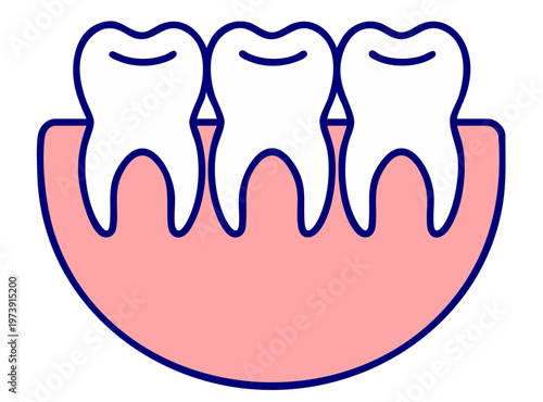 Healthy Teeth Alignment in Gum, Proper Straight Tooth Position, Dental Orthodontic Healthy Smile