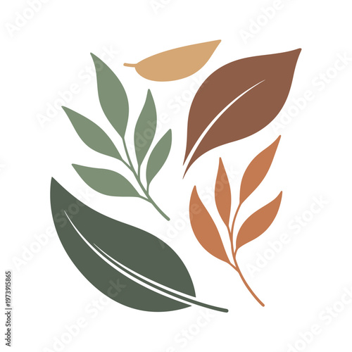 A collection of colorful leaves arranged together on a white background with various shapes.