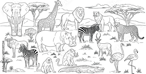 Photography Collection of African Safari Animals Including Elephant, Lion, Giraffe, Zebra, R